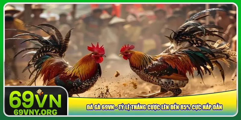 da-ga-69vn-ty-le-thang-cuoc-len-den-85-cuc-hap-dan